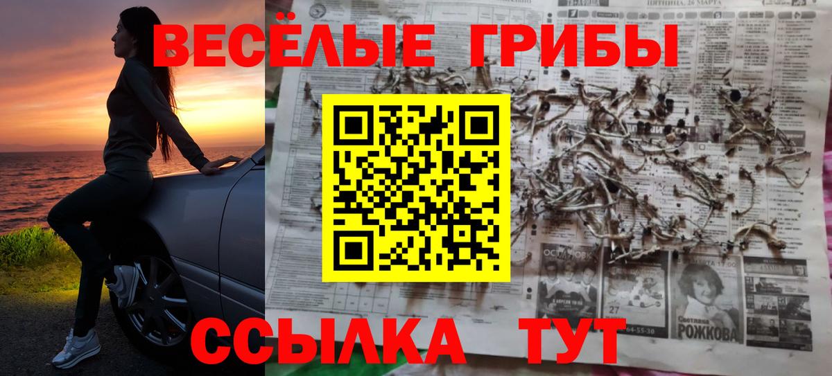 A PVP Нововоронеж