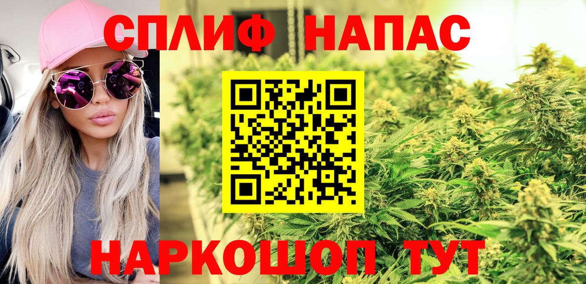 Канабис конопля Нововоронеж